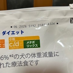 わんこのエサの画像