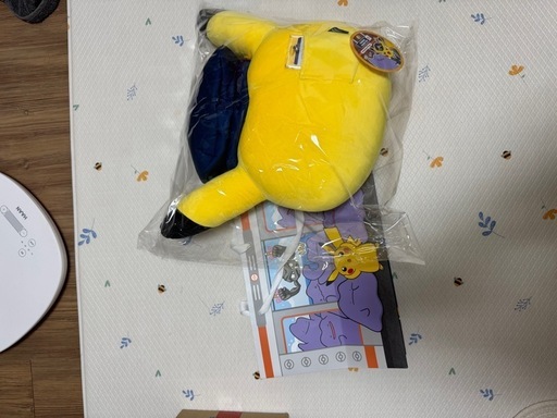 釜山ポケモン 韓国メタモン ステーションマネージャー