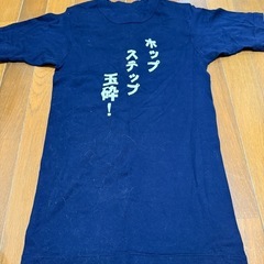 鳥肌実 Tシャツの画像