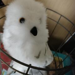 希少 ハリーポッター　フクロウ カゴ入り ヘドウィグのぬいぐるみ  (身長20㎝)の画像
