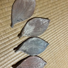 葉っぱのお皿4枚の画像