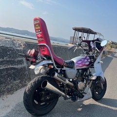 エイプ50の画像