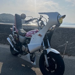 エイプ50の画像