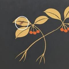 会津漆器②　黒4,0角　銘々皿揃　菓子皿　藪柑子　５枚セットの画像