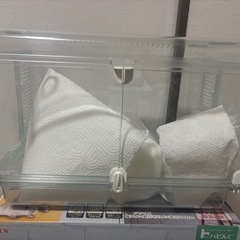 ハムスターケージの画像