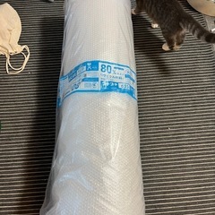 梱包用プチプチです。の画像
