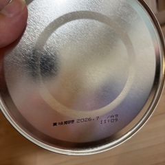 フォローアップミルク　ぐんぐんの画像