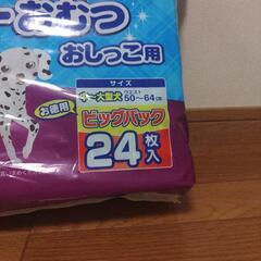 ペット用オムツ他の画像
