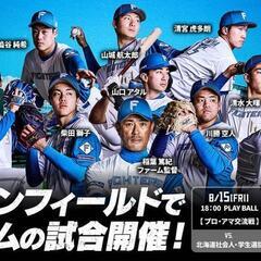 日本ハムファイターズ ファーム戦チケット×2
