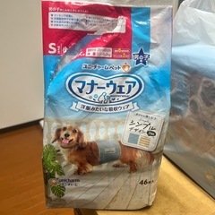 犬用オムツ　男の子Sサイズ