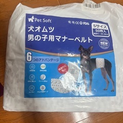 犬用オムツ　男の子Sサイズの画像