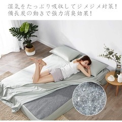 【未使用品】除湿シート 寝具用除湿マット　90✖️180の画像