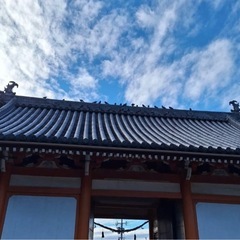 瓦専門   新築、葺き替え