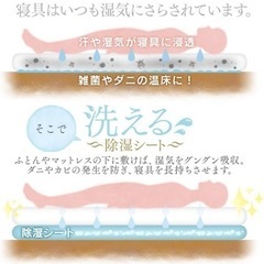 【未使用品】除湿シート 寝具用除湿マット　90✖️180の画像