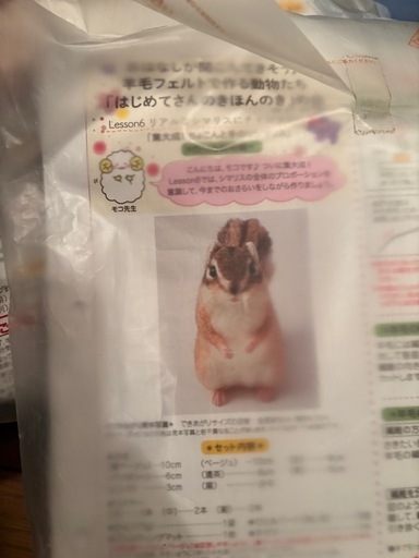 mar様専用】羊毛フェルトのシマリスⅠ（2体） 受注制作✨羊毛フェルトの