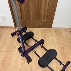 レッグマジックXの画像
