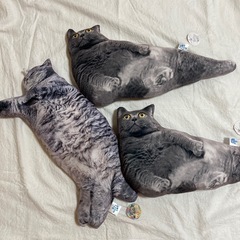 【新品未使用タグ付き】リアルデブ猫クッション　第2弾　３つセットの画像