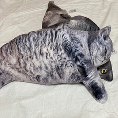 【新品未使用タグ付き】リアルデブ猫クッション　第2弾　３つセットの画像