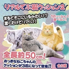 【新品未使用タグ付き】リアルデブ猫クッション　第2弾　３つセットの画像