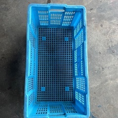 ケース水色の画像