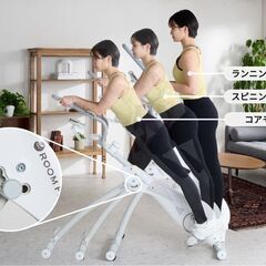 【美品】ROOM FIT ROOMBIKE AERO 立ち漕ぎバイク【取りに来れる方限定】おまけ有の画像