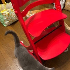 ハイチェア　大和屋の画像