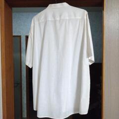 ３Lメンズシャツの画像
