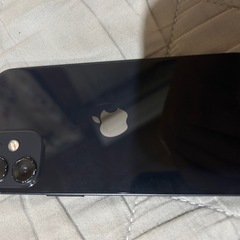 iPhone12mini
の画像