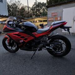 ニンジャ２５０SEの画像