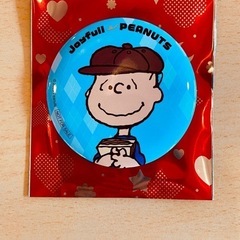 ジョイフル スヌーピー PEANUTS コラボ 缶バッジ …