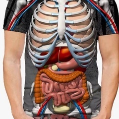 人体内臓プリント Tシャツ3Lの画像