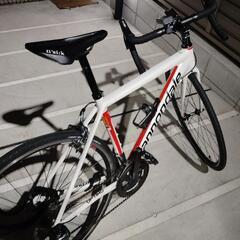 cannondale(値段最終決定)の画像