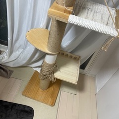 キャットタワーの画像