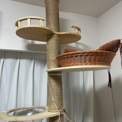 キャットタワーの画像