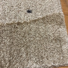 ニトリ デザイン ラグ ベージュ系の画像