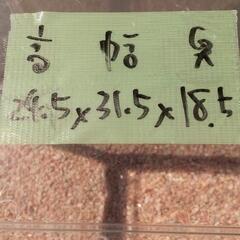 ☆砂利付き水槽30cm☆の画像