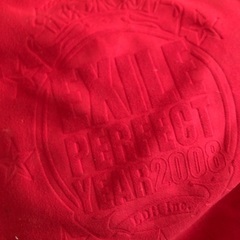 EXILE PERFECT  YEAR クッションの画像