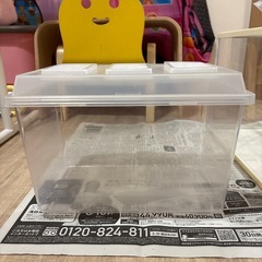 虫かご（中）の画像