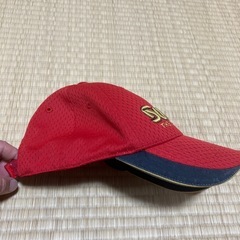 サンライン🉐の画像
