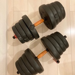 ダンベル セット  ダンベル 約20kg×2(19kg×2の画像