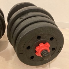 ダンベル セット  ダンベル 約20kg×2(19kg×2の画像