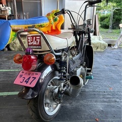 シャリーの画像