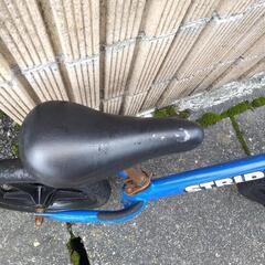 ストライダー　青の画像