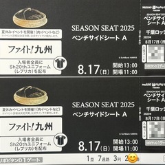 【決まりました】8月17日(日)ファイト！九州デー  ソフトバンクVS 千葉ロッテマリーンズ　ベンチサイドシート2枚　レプリカユニフォーム配布あり   8/17の画像