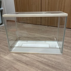 GEX社 水槽の画像