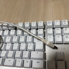 Razer black widow lite ゲーミングキーボード　生産終了品の画像