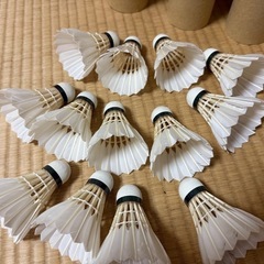 バドミントン　シャトルの画像