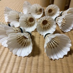 バドミントン　シャトルの画像