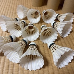 バドミントン　シャトルの画像