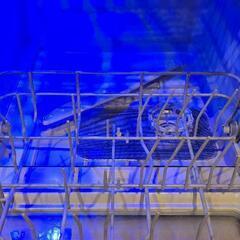 THANKO  食器洗い乾燥機 「ラクア」の画像